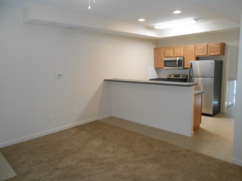 Living Room & Kitchen