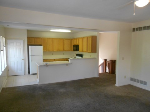 Living Room & Kitchen