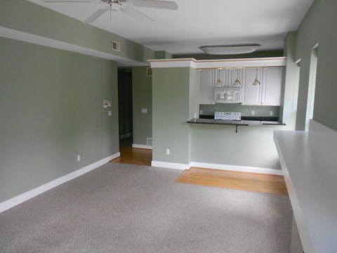 Living Room/Kitchen