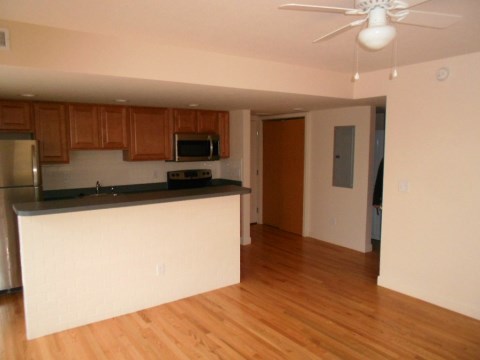 Living Room/Kitchen
