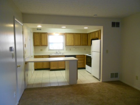 Living Room/Kitchen