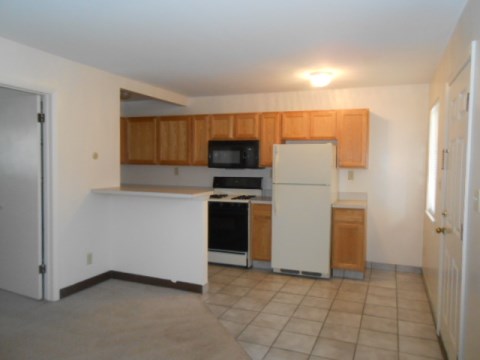 Living Room & Kitchen