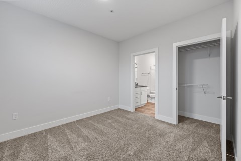 Plush Bedroom Carpet