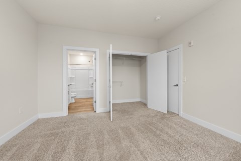 Plush Bedroom Carpet