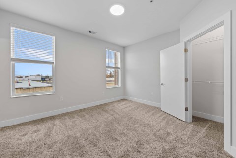 Plush Bedroom Carpet