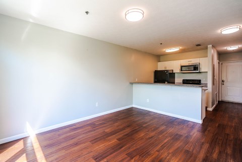 Living Room  2