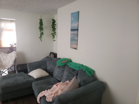 Living Room 4