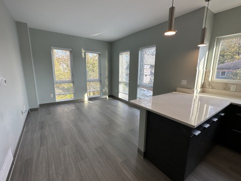 kitchen and living room