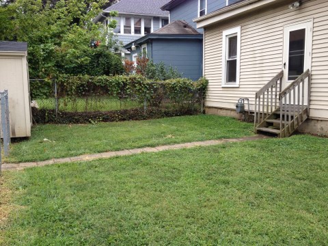 Yard