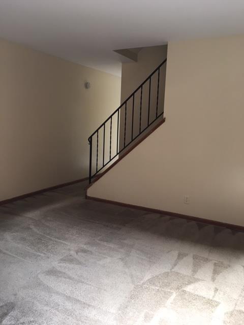 56 B1