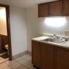 lower sink