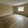 Large living room with new LVT flooring