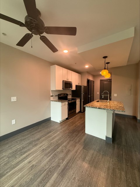 Living room and Kitchen