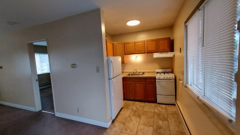 Living room/Kitchen