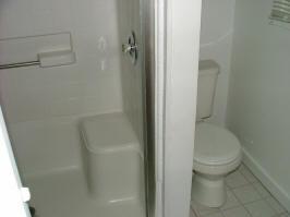 shower and toilet