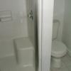 shower and toilet