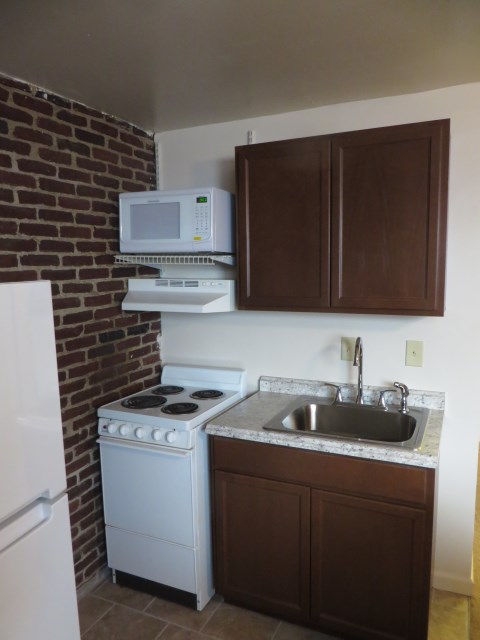 Sink with in sink disposal, microwave, electric stove/oven with range hood with a light and fan.