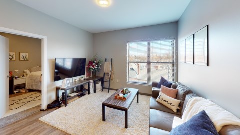 Spacious Living Room with GREAT natural light